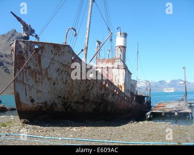 Eine stillgelegte Walfangschiff rostet am Strand von Grytviken, Südgeorgien Inseln Stockfoto