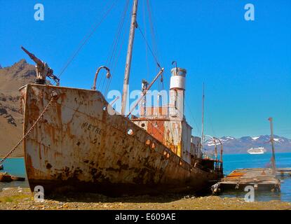 Eine stillgelegte Walfangschiff rostet am Strand von Grytviken, Südgeorgien Inseln Stockfoto