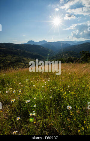 Apuseni-Gebirge Sonnenaufgang-Sommerlandschaft im Apuseni Berge-Rumänien Stockfoto