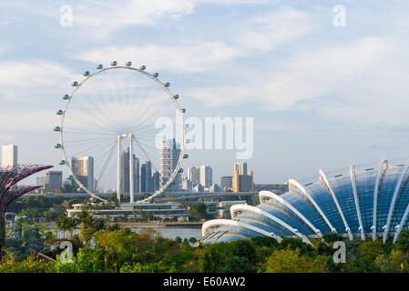 Singapore flyer Stockfoto