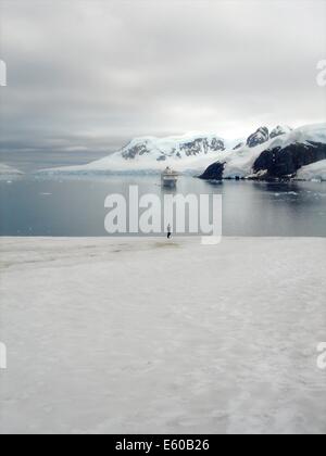 Brown-Station, argentinische Antarktis Basis und wissenschaftliche Forschungsstation und Heimat Gentou Pinguine auf der antarktischen Halbinsel. Stockfoto