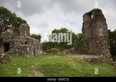 Narberth Norman Burgruine Stockfoto