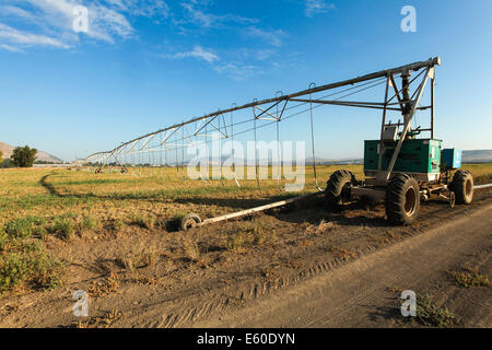 Mobile-Bewässerung-Roboter in einem Feld. Fotografiert in der Jesreel-Tal, Israel Stockfoto