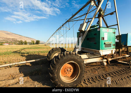 Mobile-Bewässerung-Roboter in einem Feld. Fotografiert in der Jesreel-Tal, Israel Stockfoto