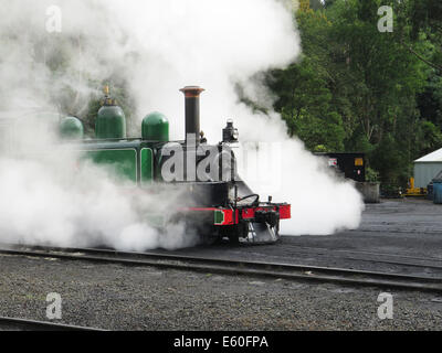 Puffing Billy Dampfzug am Belgrave, Victoria, Australien Stockfoto