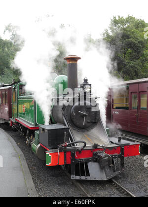 Puffing Billy Dampfzug am Belgrave, Victoria, Australien Stockfoto