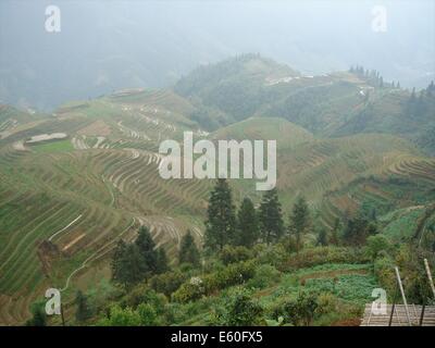 Die Longji / Longsheng Reis Terrassen in der Nähe von Guilin, Provinz Guangxi, China Stockfoto