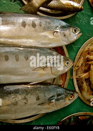 Frischer Fisch auf einem Marktstand in der Hafen Stadt Kochi (Cochin), Kerala, Indien Stockfoto