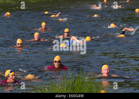 Menschen, die im Wettbewerb mit Ångaloppet, einen Swimrun-Wettbewerb, wo Sie an Land laufen und Schwimmen in Seen und im Meer mehrmals. Stockfoto