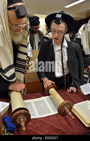 Thora lesen während Wochentag Morgengebet auf eine Synagoge in Brooklyn, New York Stockfoto