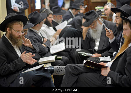 Junge jüdische Männer beten während Tisha B'Av Dienste in einer Synagoge in Brooklyn, New York, USA Stockfoto