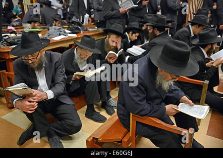 Jüdische Männer beten auf Tisha B'Av und folgen der Tradition, auf niedrigen Sitzen zu sitzen. In einer Synagoge in Brooklyn, New York. Stockfoto