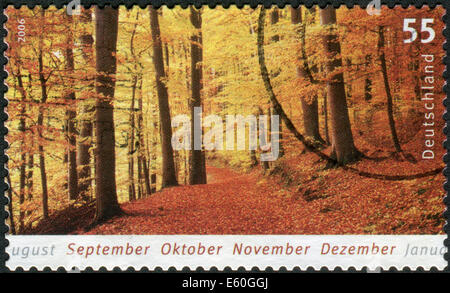 Deutschland - CIRCA 2006: Briefmarke gedruckt in Deutschland, zeigt herbstliche Landschaft, Wald, circa 2006 Stockfoto