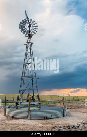 Windmühle mit Pumpe und Vieh Wassertank in Shortgrass Grasland vor Gewitterhimmel, iPawnee National Grassland in Colorado in der Nähe Stockfoto