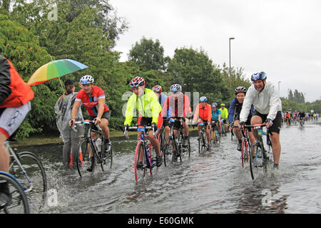 Sonntag, 10. August 2014. East Molesey, Surrey, UK. Radfahrer durchpflügen eine überflutete Straße nach Starkregen durch Reste der Hurrikan Bertha Hits aufsichtsrechtlichen RideLondon-Surrey 100 verursacht. 24.000 Amateur-Radfahrer nahmen Teil an der Veranstaltung der 100miles abdeckt und meistens folgt die Route in London 2012 Olympischen Straßenrennen verwendet. Die Strecke wurde jedoch aufgrund des schlechten Wetters, 86miles verkürzt. Bildnachweis: Ian Flasche/Alamy Live-Nachrichten Stockfoto