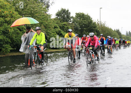 Sonntag, 10. August 2014. East Molesey, Surrey, UK. Radfahrer durchpflügen eine überflutete Straße nach Starkregen durch Reste der Hurrikan Bertha Hits aufsichtsrechtlichen RideLondon-Surrey 100 verursacht. 24.000 Amateur-Radfahrer nahmen Teil an der Veranstaltung der 100miles abdeckt und meistens folgt die Route in London 2012 Olympischen Straßenrennen verwendet. Die Strecke wurde jedoch aufgrund des schlechten Wetters, 86miles verkürzt. Bildnachweis: Ian Flasche/Alamy Live-Nachrichten Stockfoto