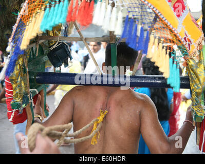 Ein Büßer am Thaipusam Chariot Festival, Spirituosen, tamilischen Gemeinschaft besessen tuten in Feigen Marsh, London Stockfoto