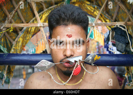 Ein Büßer am Thaipusam Chariot Festival, Spirituosen, tamilischen Gemeinschaft besessen tuten in Feigen Marsh, London Stockfoto