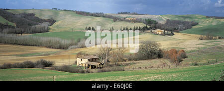 Italien, Toskana, Siena Provinz, Crete-Landschaft Stockfoto