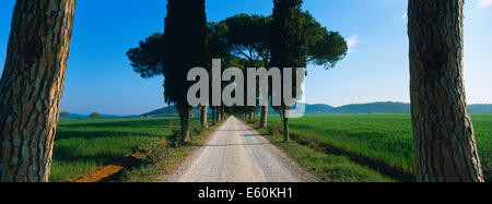 Italien, Toskana, Siena Provinz, Crete-Landschaft Stockfoto