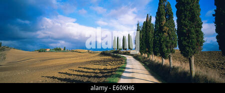 Italien, Toskana, Siena Provinz, Crete-Landschaft Stockfoto