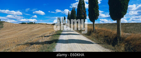 Italien, Toskana, Siena Provinz, Crete-Landschaft Stockfoto