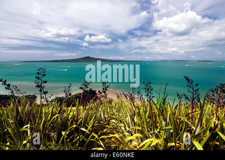 Rangitoto Island, Waitemata Harbour, Auckland City, Neuseeland Stockfoto