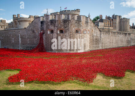 Graben des Tower of London mit den Mohnblumen und Das „weinende Fenster“ Stockfoto