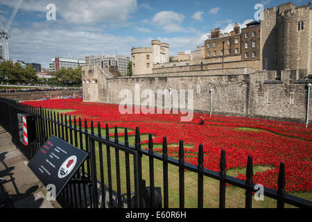 Gesamtansicht des Grabens der Tower of London mit dem Mohn Stockfoto