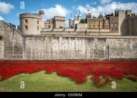 Graben der Tower of London mit dem Mohn Stockfoto