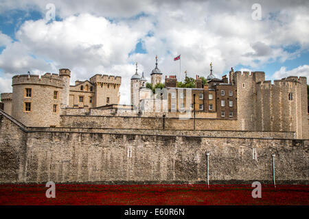 Tower von London mit der Mohnblumen Stockfoto