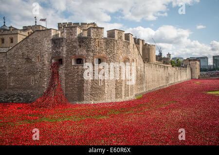 Gesamtansicht des Grabens des Tower of London Mit den Mohnblumen und dem „weinenden Fenster“ Stockfoto