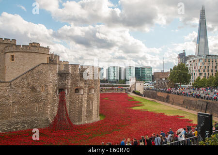 Allgemeine Ansicht des Grabens des Tower of London mit den Mohnblumen, dem „Weeping Window“, dem Shard und den Besuchern Stockfoto
