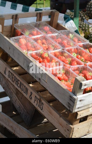 Erdbeeren in einer Kiste Stockfoto