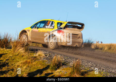 Gardemeister des Suzuki SX4 Stockfoto