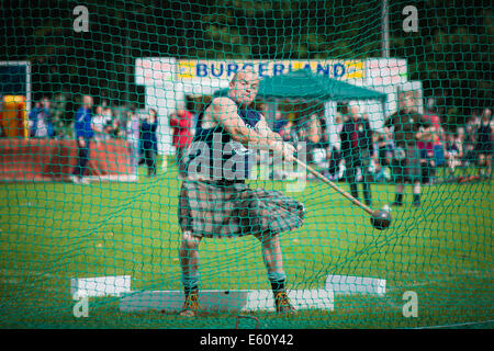 Hammerwurf bei Strathpeffer Highland Games (© Alan Davidson) Stockfoto