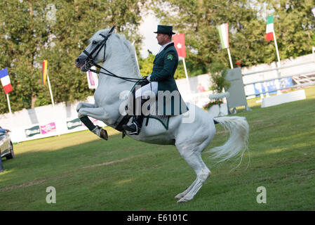 Bratislava, Slowakei. 10. August 2014. Demonstration der klassischen Dressur der Lipizzaner Hengst während der Mercedes-Benz Grand Prix Bratislava, Slowakei-Credit: Lubos Paukeje/Alamy Live News Stockfoto