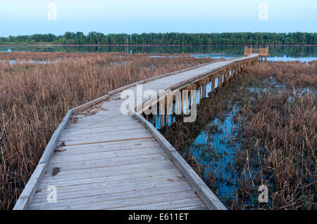 Marsh und Promenade entlang Minnesota Fluß in Minnesota Tal National Wildlife Refuge von Bloomington Minnesota Stockfoto