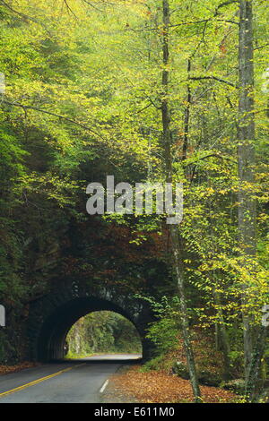 Eine kurvenreiche Straße führt durch einen Tunnel in den Great Smoky Mountains National Park, Tennessee. Stockfoto