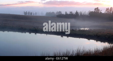 Morgennebel deckt ein Feld und Damm in der Nähe von Milbrodale Hunter Valley New South Wales Australien Stockfoto