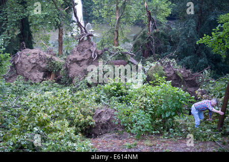 Bad Schwalbach, Deutschland. 10. August 2014. Die Gärten der Gesundheit greifen nach dem Sturm in Bad Schwalbach, Deutschland, 10. August 2014. Ein Tornado gemeinsam mit einer regen Sturm verursachte Schäden in Millionenhöhe in den Kurort. Zahlreiche Autos wurden beschädigt, Dächer der Häuser abgenommen und Waldflächen zerstört. Foto: Boris Roessler/Dpa/Alamy Live News Stockfoto