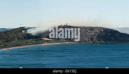 Bush-Feuer auf Barrenjoey Headland Palm Beach New South Wales Australien 28.09.2013 Stockfoto