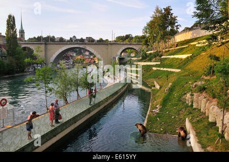 Bären in die neue Außenanlage am Fluss Aare, Bärengraben Graben und Nydeggbrücke Brücke, Bern, Kanton Bern Stockfoto