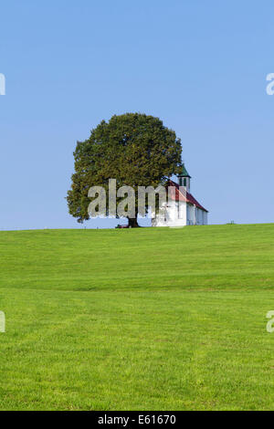 Heilig-Kreuz-Kapelle oder Heilig Kreuz Kapelle, Amtzell, Allgäu, Swabia, Baden-Württemberg, Deutschland Stockfoto