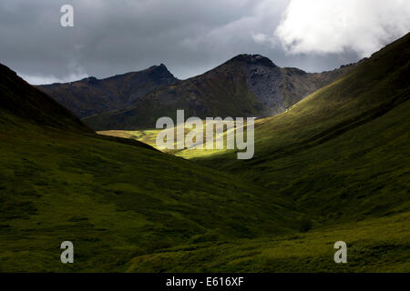 Talkeetna Mountains, Palmer, Alaska, Vereinigte Staaten von Amerika Stockfoto