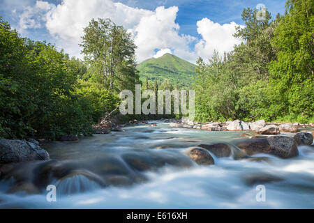 Stream in den Talkeetna Bergen, Palmer, Alaska, Vereinigte Staaten von Amerika Stockfoto