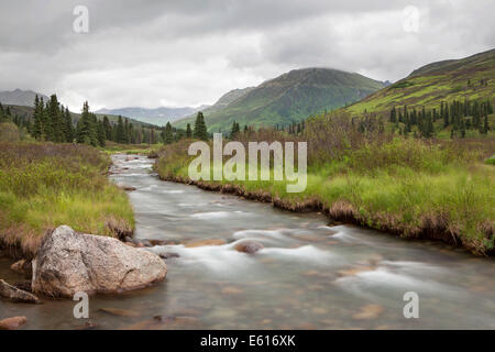 Stream in den Talkeetna Bergen, Palmer, Alaska, Vereinigte Staaten von Amerika Stockfoto