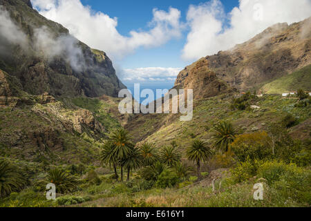 Felsformationen, Vulkangestein, Masca Schlucht, Barranco de Masca, Teneriffa, Kanarische Inseln, Spanien Stockfoto