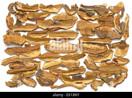 Getrocknete Cepes. Stockfoto