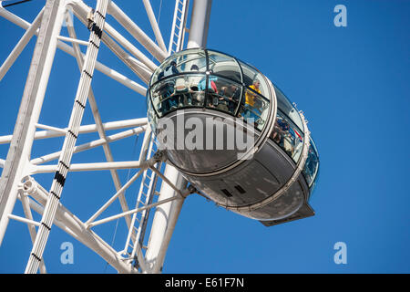 Eine Kapsel auf dem London Eye oder Millenium Wheel am Südufer der Themse in London England UK. JMH6347 Stockfoto